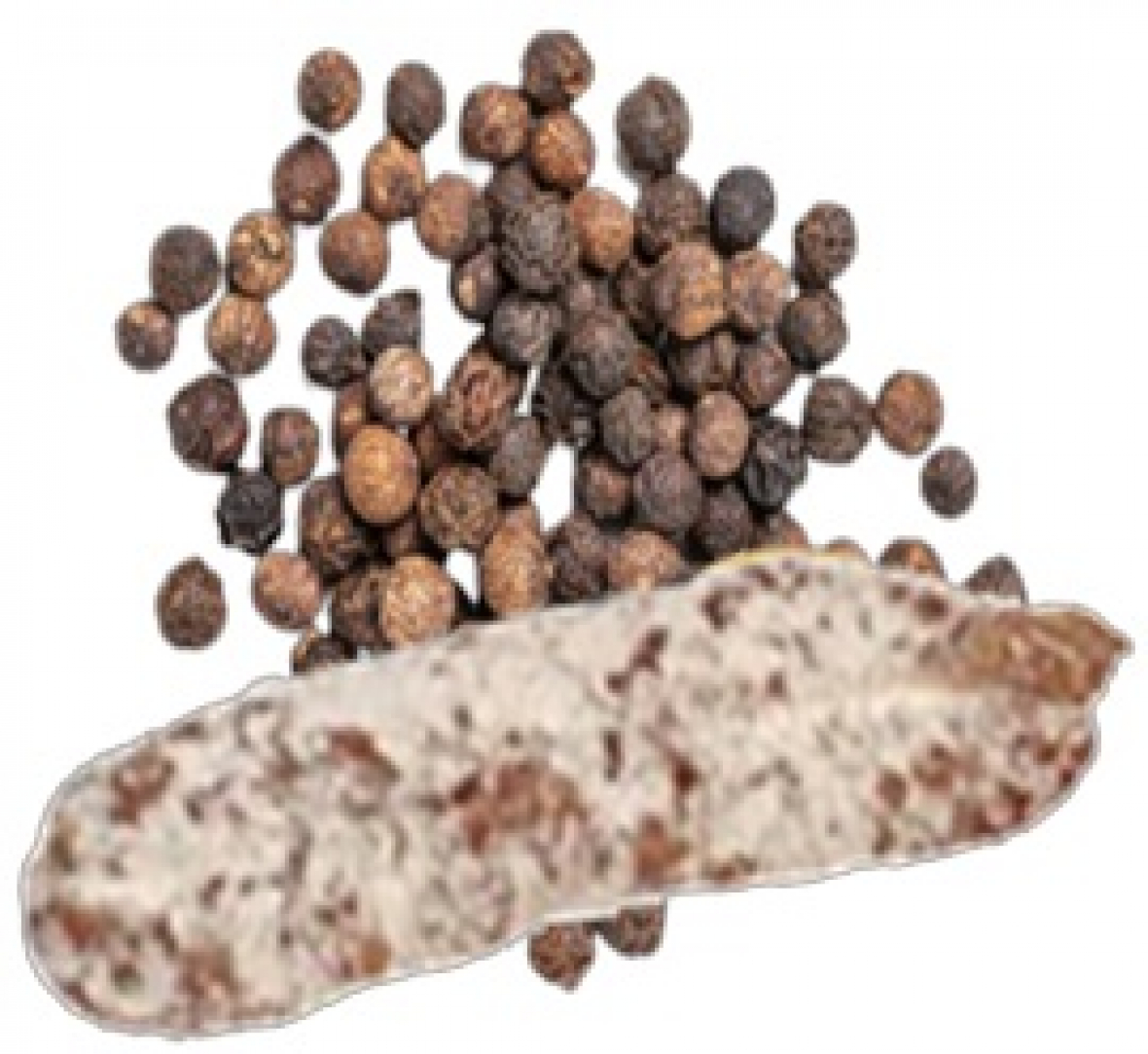 Salaisons Saveurs de France Saucisson au poivre vert Financer voyage scolaire